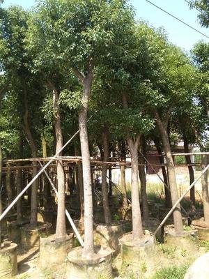 电线电缆公司的库存管理研究