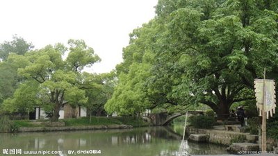 大型发电机定子绕组绝缘性能的影响因素分析